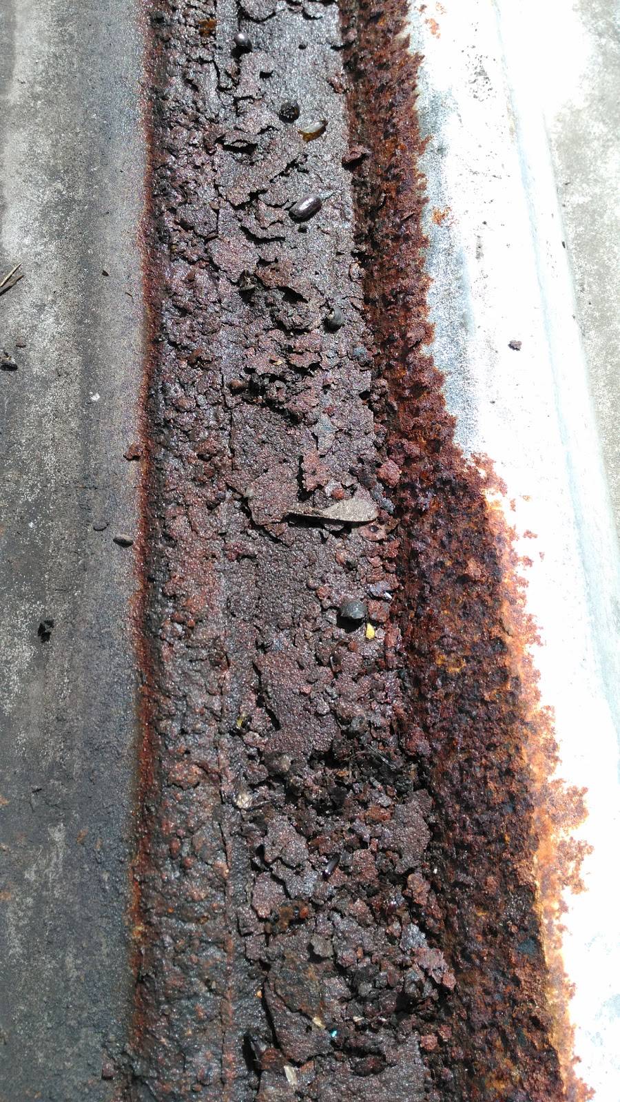 Dominos Pizza | meal delivery | 9800 Homestead Rd, Houston, TX 77016, USA | 7136336330 OR +1 713-633-6330