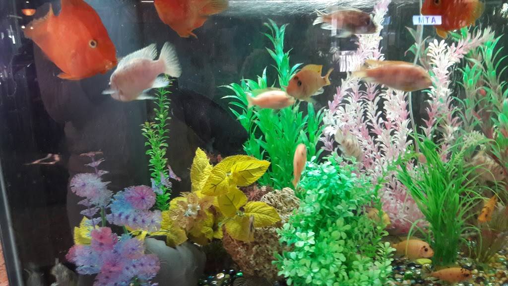 Carmel Diner Inc | restaurant | 63 Gleneida Ave, Carmel Hamlet, NY 10512, USA | 8452255000 OR +1 845-225-5000