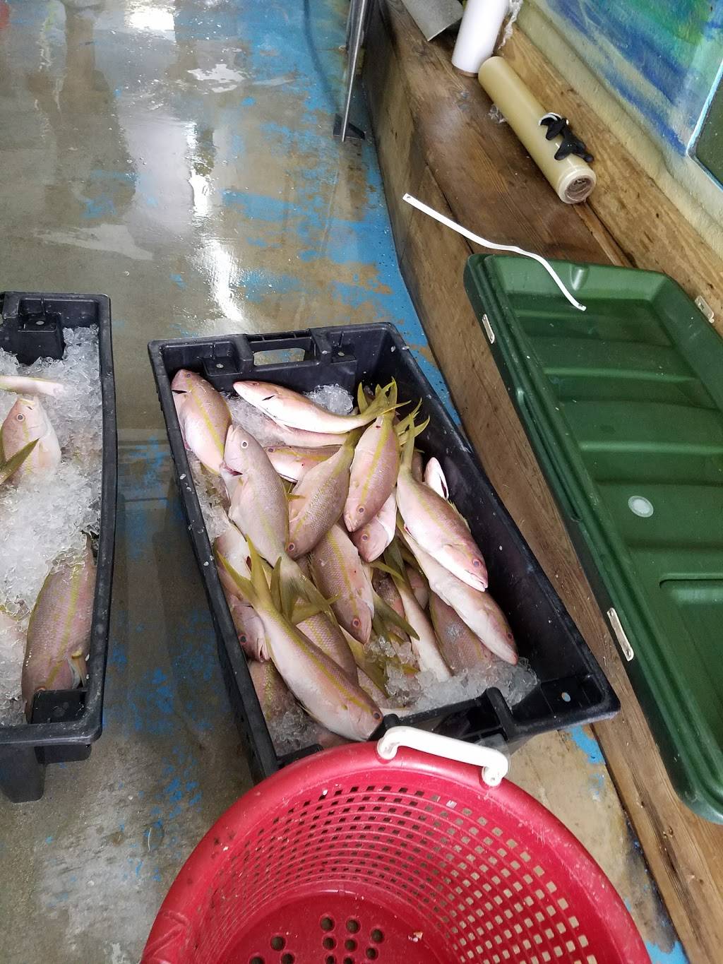 What The Fish? Rolls & More | restaurant | 90775 Old Hwy Unit #6, Tavernier, FL 33070, USA | 3054403650 OR +1 305-440-3650