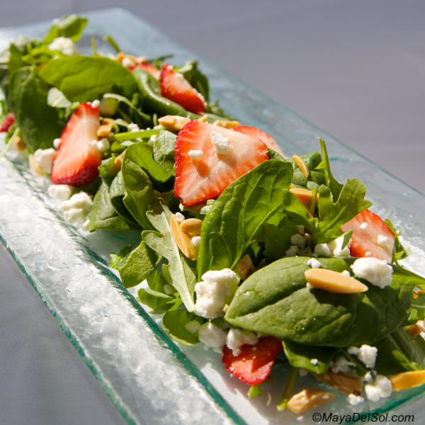 Maya Del Sol | restaurant | 144 S Oak Park Ave, Oak Park, IL 60302, USA | 7083589800 OR +1 708-358-9800