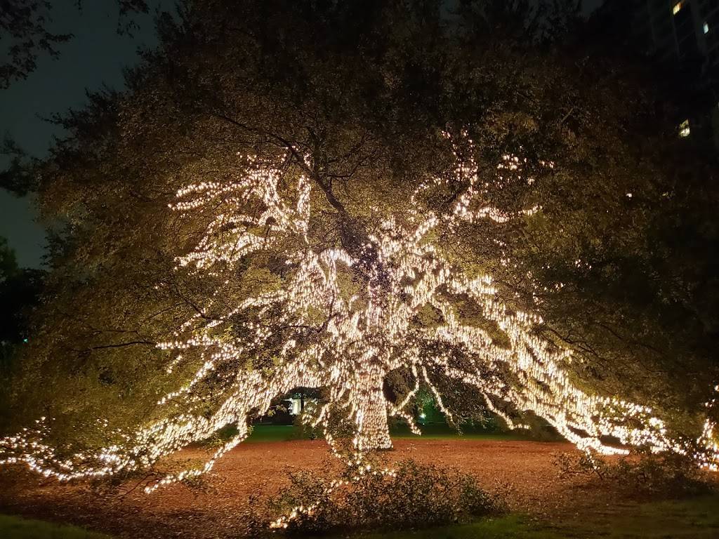 The Manor House | restaurant | 111 N Post Oak Ln, Houston, TX 77024, USA | 7136856840 OR +1 713-685-6840