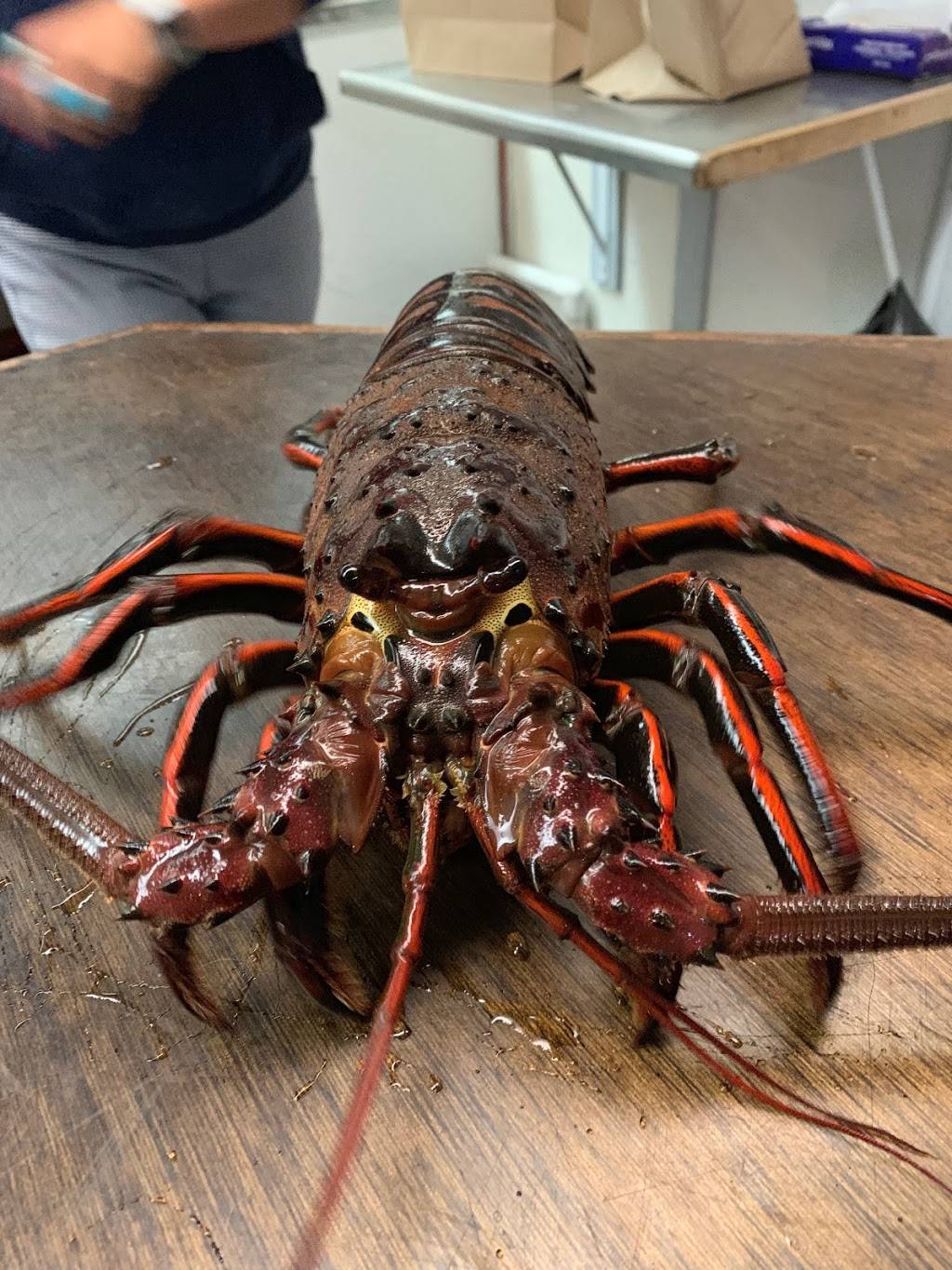 Jons Fish Market | restaurant | 34665 Street of the Golden Lantern, Dana Point, CA 92629, USA | 9494962807 OR +1 949-496-2807