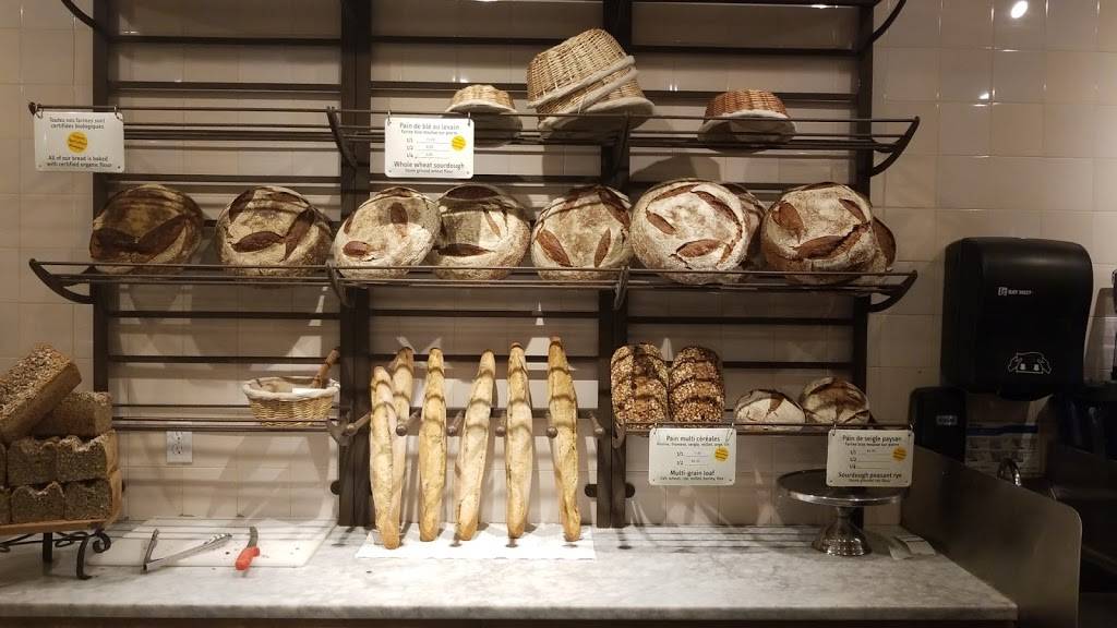 Le Pain Quotidien | restaurant | 113 N Larchmont Blvd, Los Angeles, CA 90004, USA | 3234617701 OR +1 323-461-7701