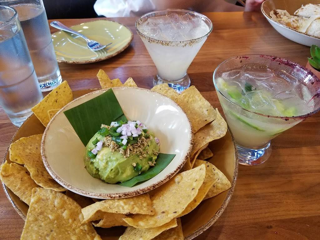 Frontera Cocina | restaurant | 1604 Buena Vista Dr, Lake Buena Vista, FL 32830, USA | 4075609197 OR +1 407-560-9197