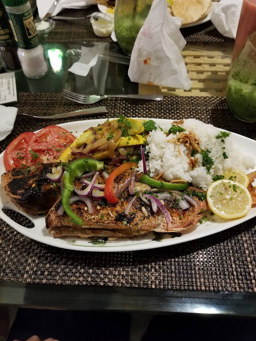 Posidon Mediterranean Cuisine | restaurant | 11009 N 56th St, Temple Terrace, FL 33617, USA | 8138999656 OR +1 813-899-9656