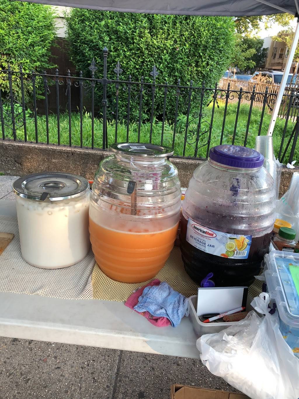 Tamales | restaurant | 40 street and forthamilton, parkway, Brooklyn, NY 11219, USA | 3476812206 OR +1 347-681-2206