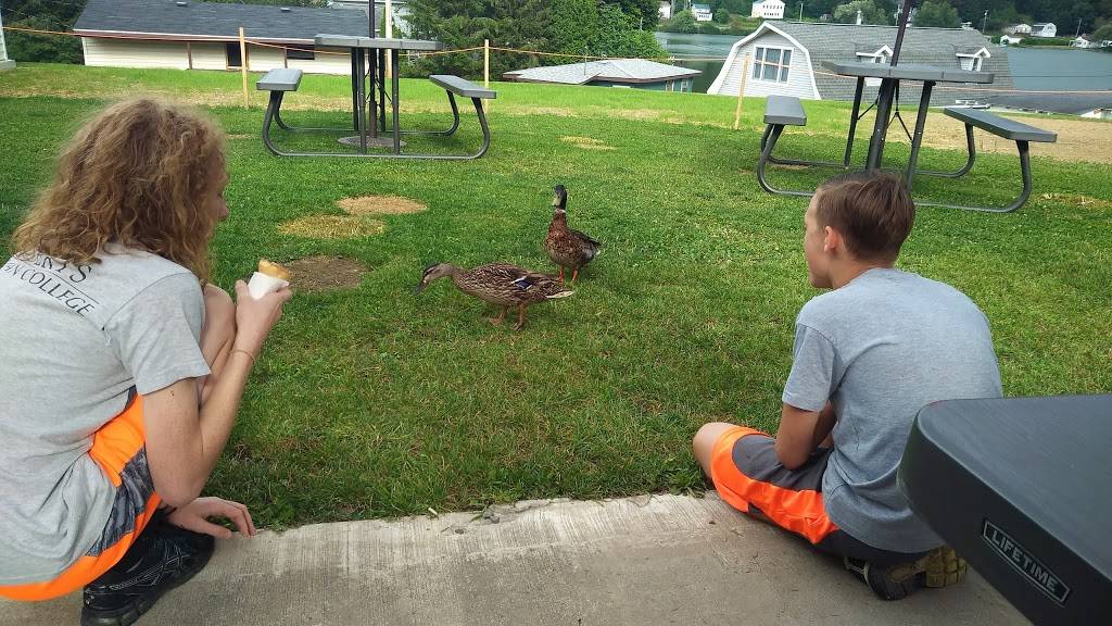 Lime Lake Snack Bar | restaurant | 3197 Elton Rd, Delevan, NY 14042, USA | 7163534800 OR +1 716-353-4800