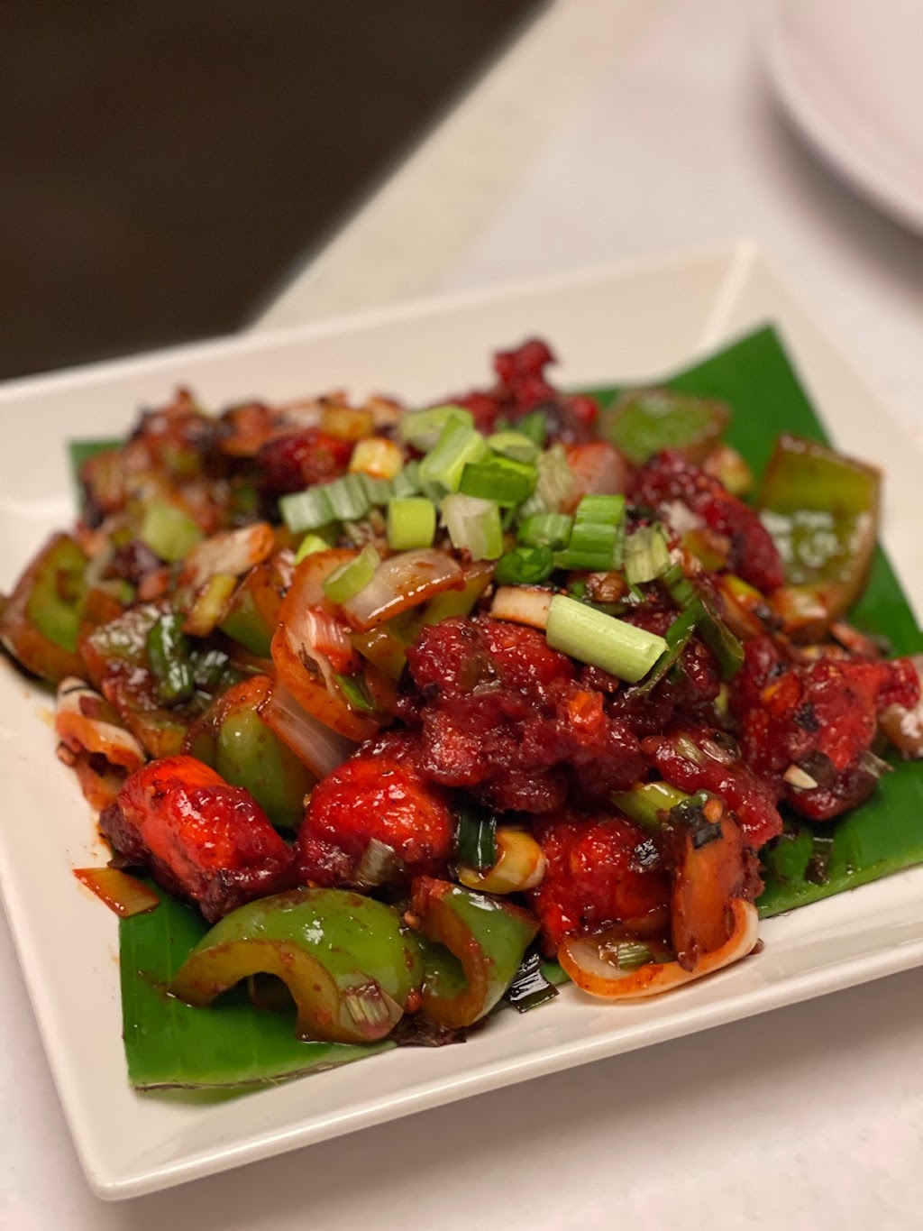 Mughal The Biryani House | restaurant | 510 W Touhy Ave, Park Ridge, IL 60068, USA | 2245209000 OR +1 224-520-9000