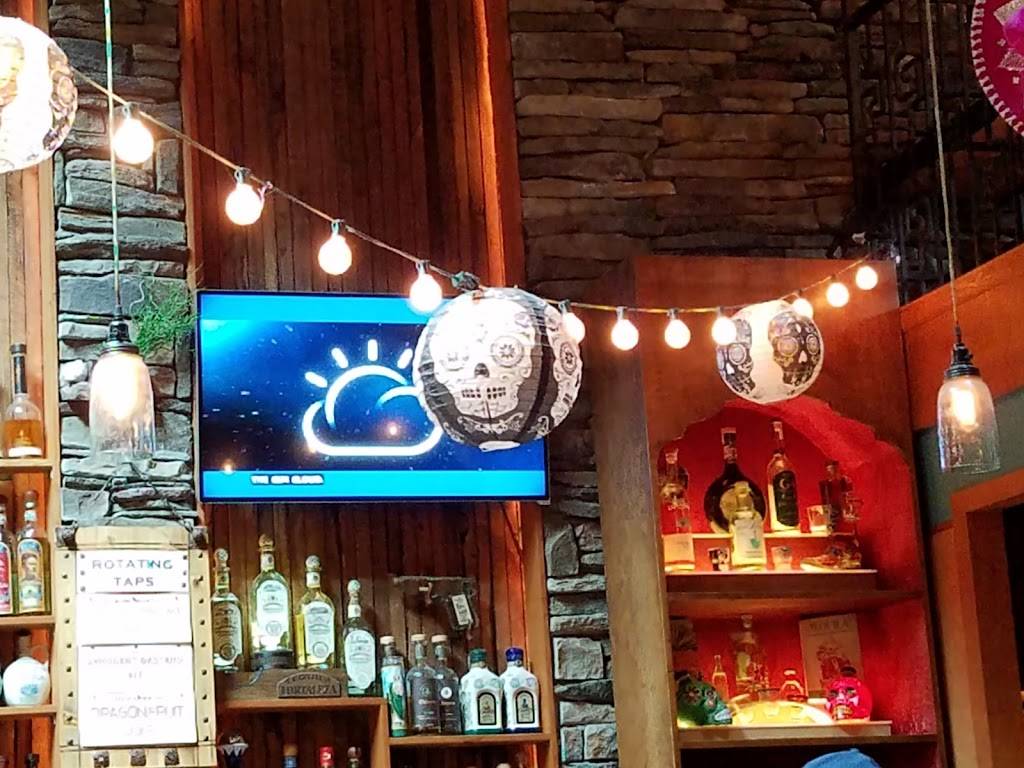 Mission Cantina | restaurant | 2325 California Ave SW, Seattle, WA 98116, USA | 2069378220 OR +1 206-937-8220