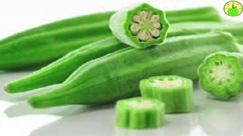 El Deportista | restaurant | 1819 E Little Creek Rd, Norfolk, VA 23518, USA | 7575883360 OR +1 757-588-3360