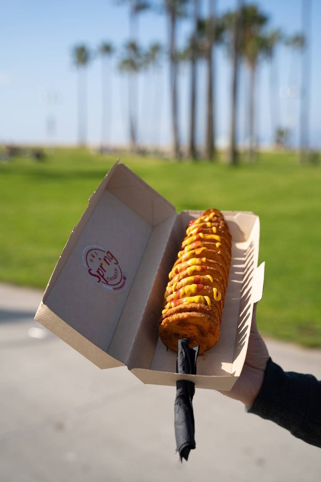 Hot Spring Chicken | restaurant | 1425 Ocean Front Walk, Venice, CA 90291, USA | 3236206155 OR +1 323-620-6155