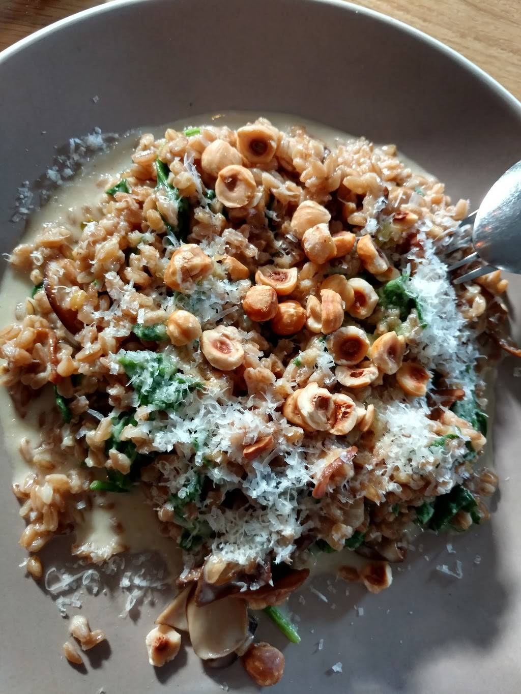 Mill Valley Beerworks | restaurant | 173 Throckmorton Ave, Mill Valley, CA 94941, USA | 4158888218 OR +1 415-888-8218