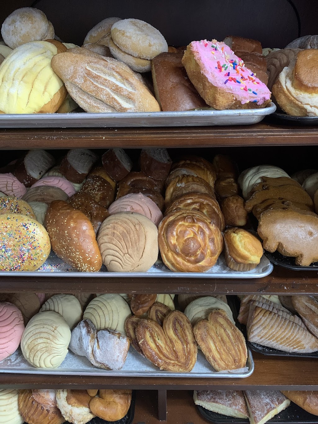 Aly’s Restaurant y Panederia | restaurant | 26 NW Broad St, Metter, GA 30439, USA | 9126852598 OR +1 912-685-2598