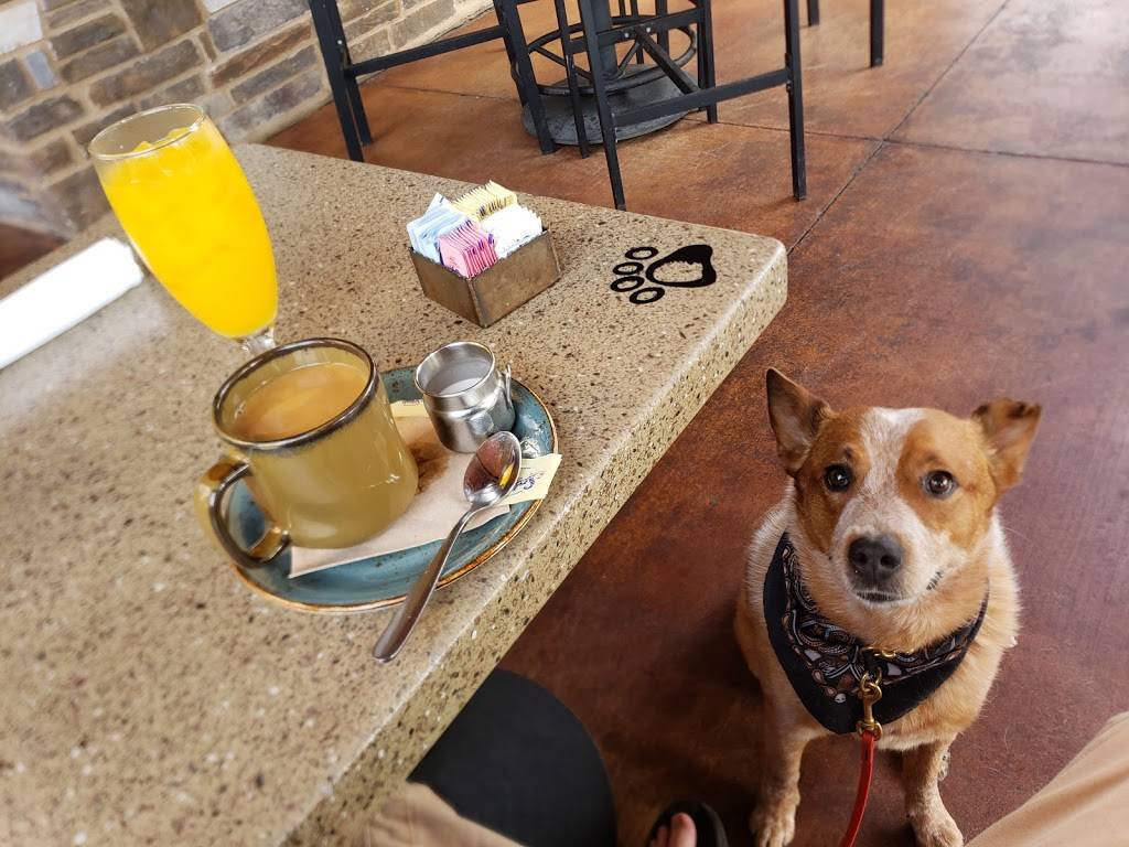 Lazy Dog | Restaurant & Bar | restaurant | 300 Palladio Pkwy, Folsom, CA 95630, USA | 9163784660 OR +1 916-378-4660