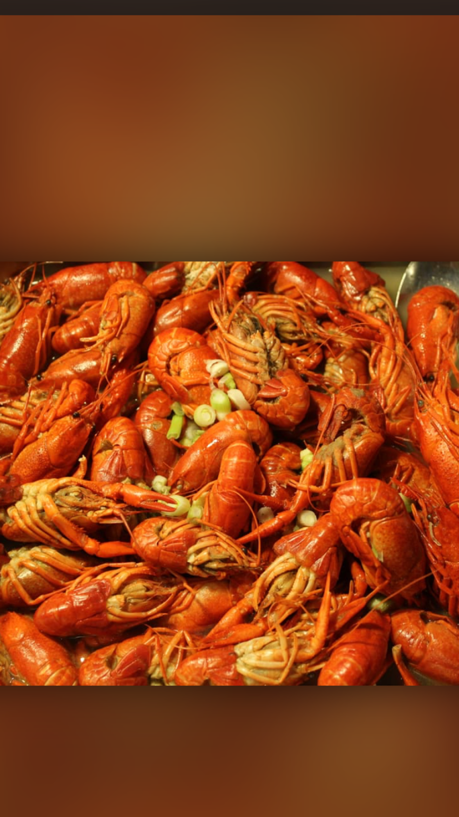 Szechuan Palace | restaurant | 2031 NE 13th St, Gainesville, FL 32609, USA | 3523370888 OR +1 352-337-0888