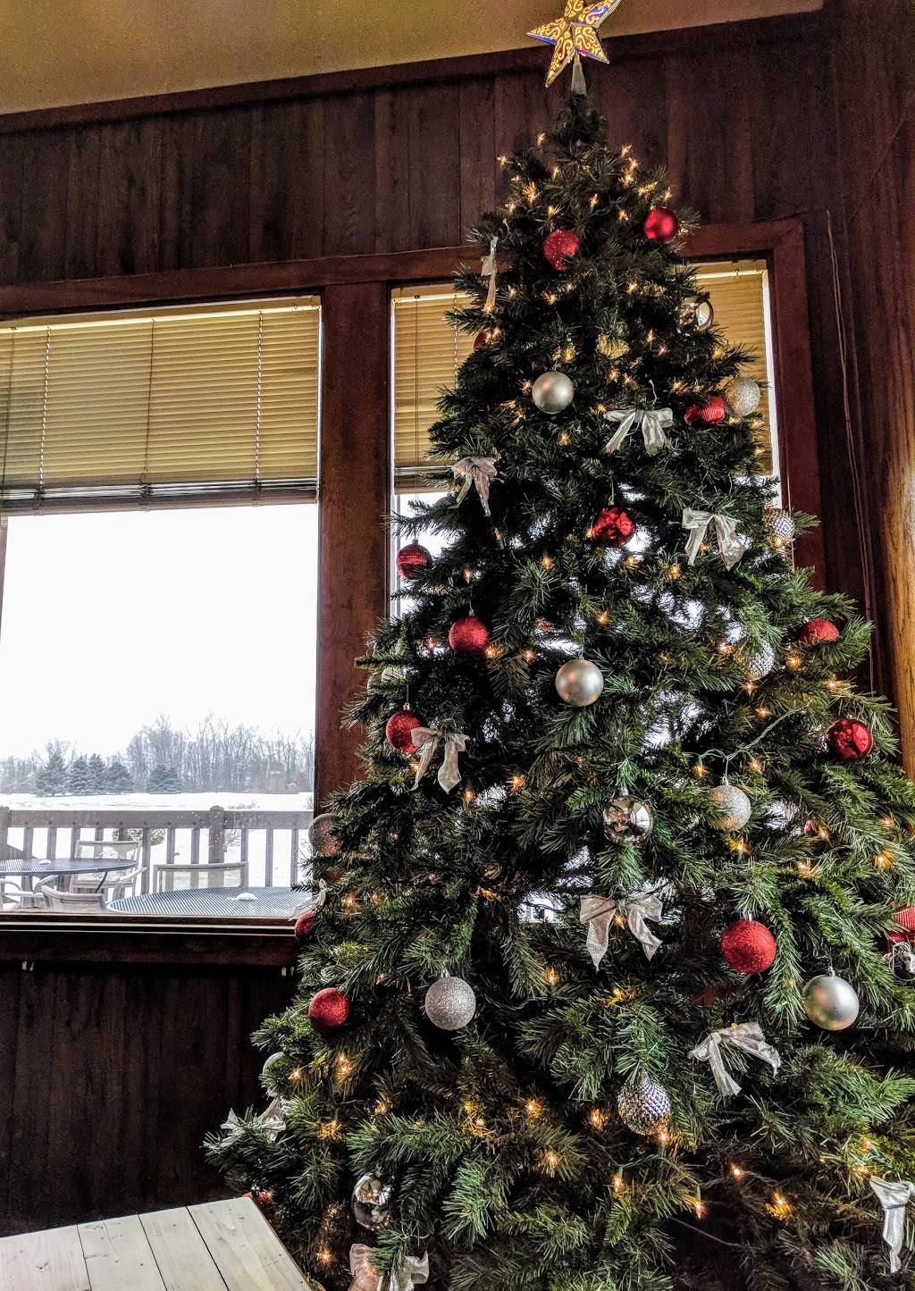 Papios Food & Spirits | restaurant | 2280 S Reese Rd, Reese, MI 48757, USA | 9898688669 OR +1 989-868-8669