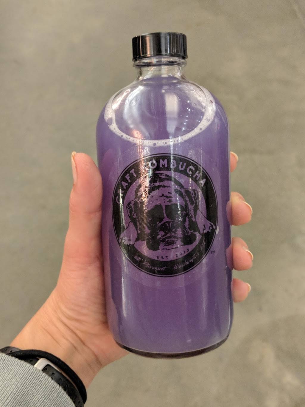 Craft Kombucha | restaurant | 1309 5th St NE, Washington, DC 20002, USA | 5713170656 OR +1 571-317-0656