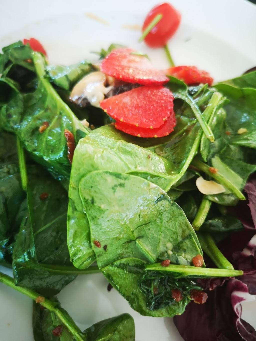 Terra Cotta Inn | restaurant | 175 King St, Terra Cotta, ON L7C 1P2, Canada | 9058732223 OR +1 905-873-2223