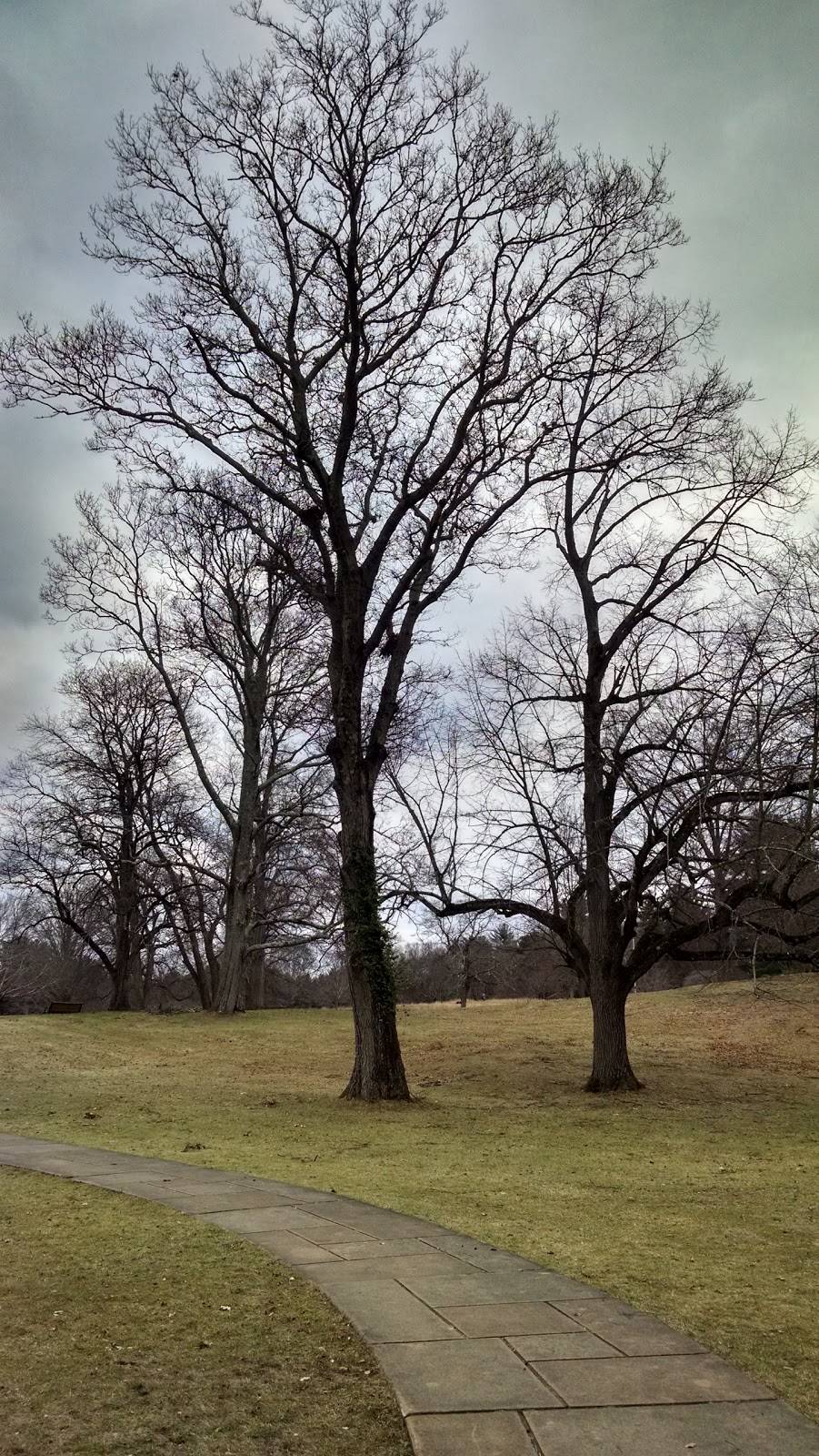 204 Washington | restaurant | 204 Washington St, East Walpole, MA 02032, USA | 5086601400 OR +1 508-660-1400