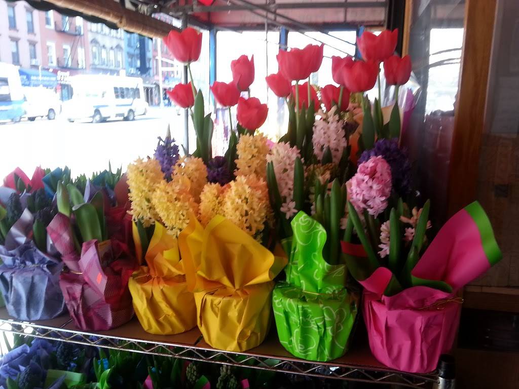 Nightingale Bakery | restaurant | 2306 1st Avenue, New York, NY 10035, USA | 6464227025 OR +1 646-422-7025