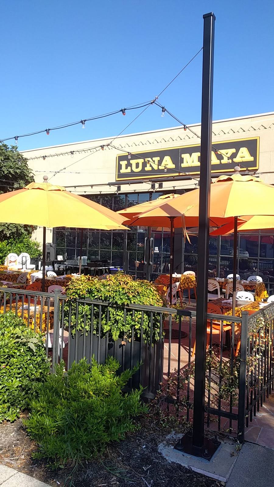 Luna Maya | restaurant | 2010 Colley Ave, Norfolk, VA 23517, USA | 7576226986 OR +1 757-622-6986