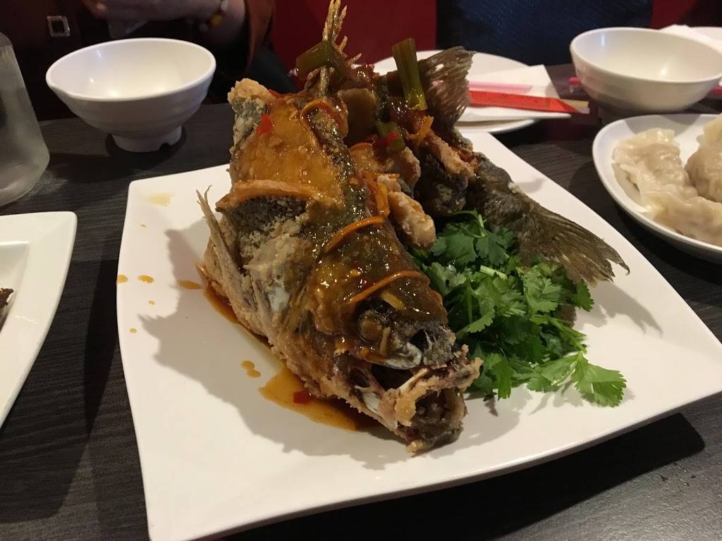 I Tea Cafe | cafe | 2201, 709 Bellefonte St, Pittsburgh, PA 15232, USA | 4126888330 OR +1 412-688-8330