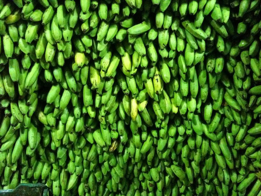 Sabor Food | restaurant | 2530 Main St, Chula Vista, CA 91911, USA | 6195675116 OR +1 619-567-5116