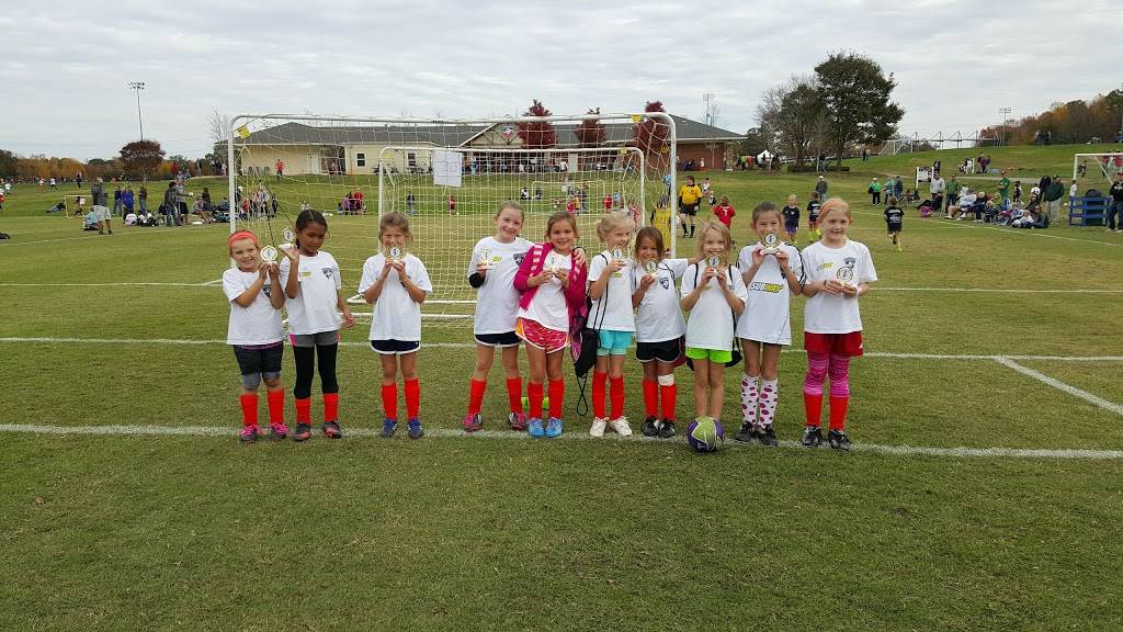 Subway | restaurant | 6105 Townsend Rd, Browns Summit, NC 27214, USA | 3363586858 OR +1 336-358-6858