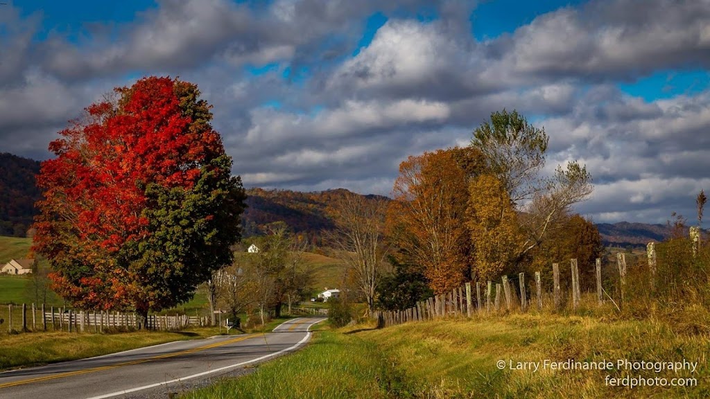 Back Creek Farms | restaurant | 7781 Upper Back Creek Rd, Monterey, VA 24465, USA | 5404992302 OR +1 540-499-2302