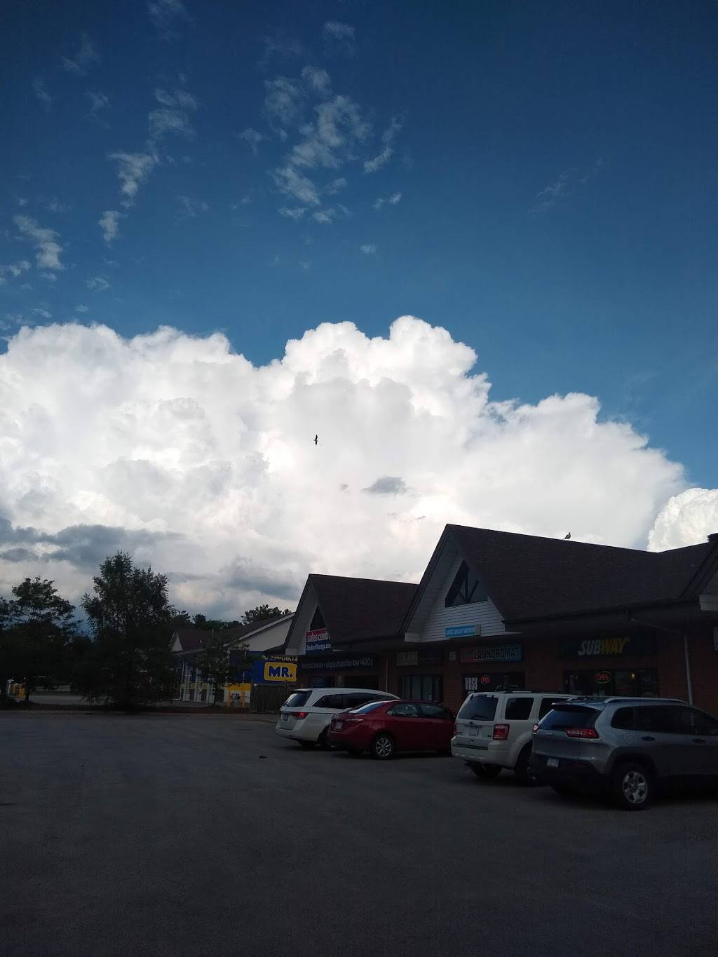 Subway | restaurant | 627 River Rd W Unit #5, Wasaga Beach, ON L9Z 0A6, Canada | 7054291037 OR +1 705-429-1037