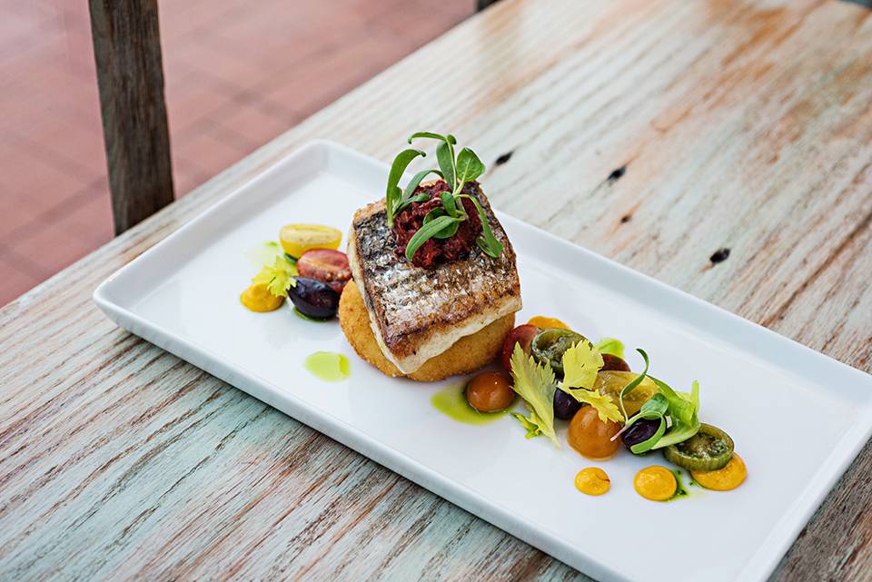 White Dog Cafe Wayne | restaurant | 200 W Lancaster Ave, Wayne, PA 19087, USA | 6102253700 OR +1 610-225-3700