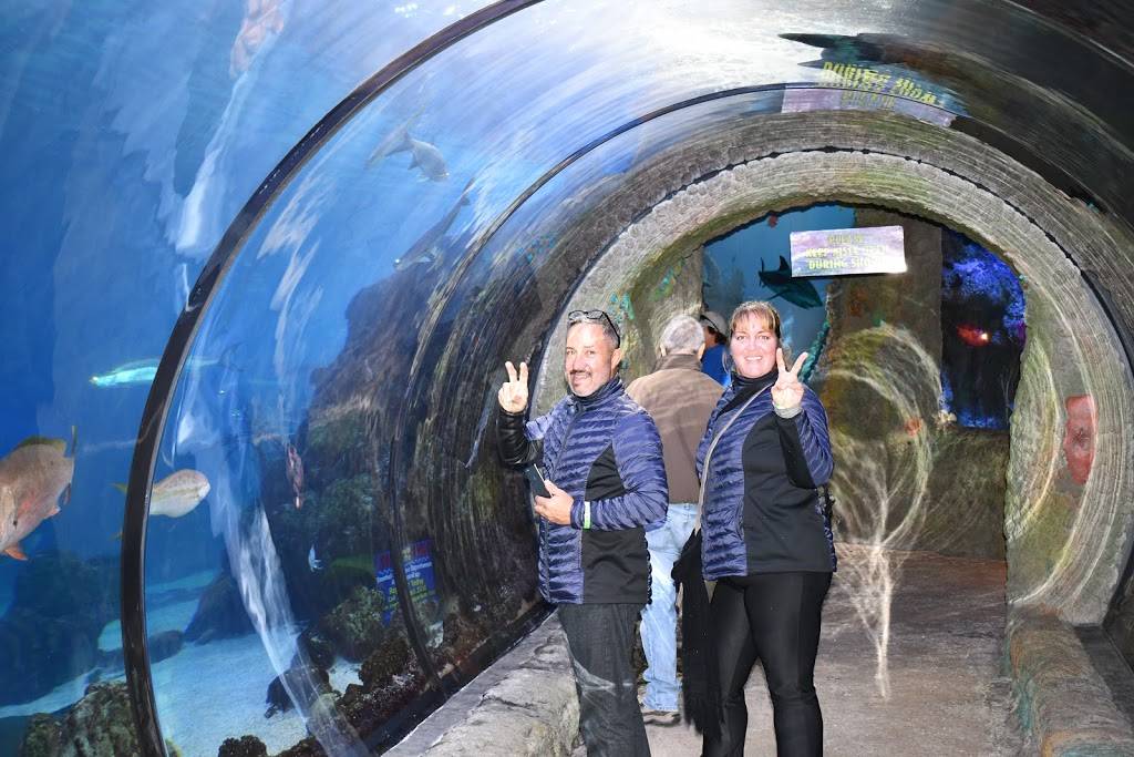 Downtown Aquarium | restaurant | 700 Water St, Denver, CO 80211, USA | 3035614450 OR +1 303-561-4450