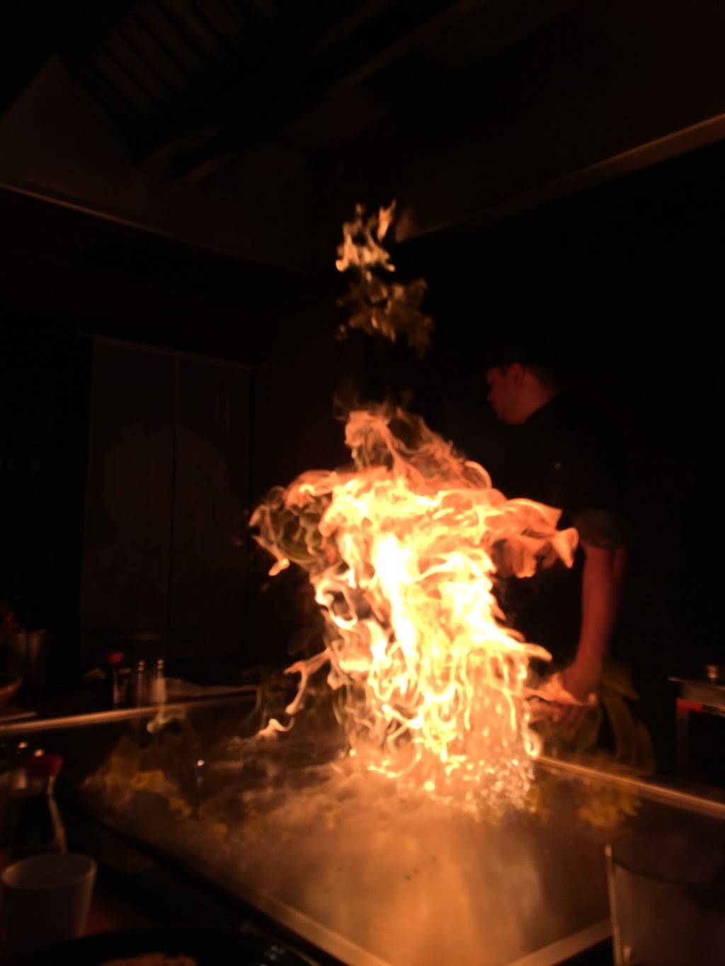 Shogun Sushi & Hibachi Grill | restaurant | 5515 S Broadway Ave, Tyler, TX 75703, USA | 9035341155 OR +1 903-534-1155