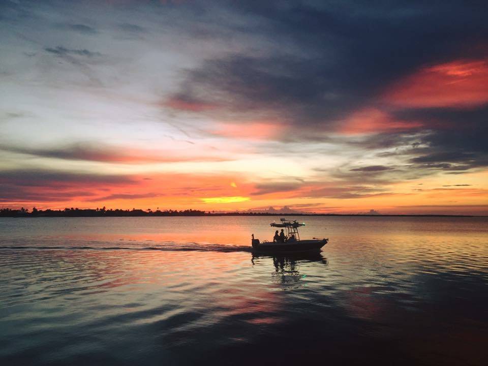 Hooked Island Grill | restaurant | 4200 Pine Island Rd, Matlacha, FL 33993, USA | 2395403463 OR +1 239-540-3463