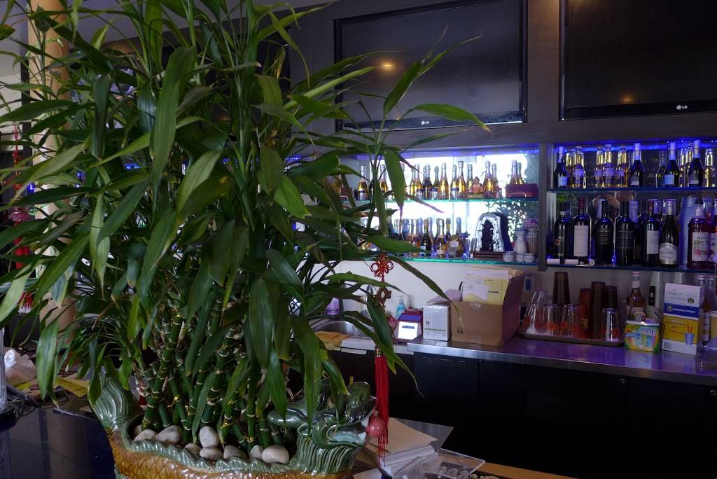 E Plus Restaurant | restaurant | 490 #A, S Airport Blvd, South San Francisco, CA 94080, USA | 4158232893 OR +1 415-823-2893