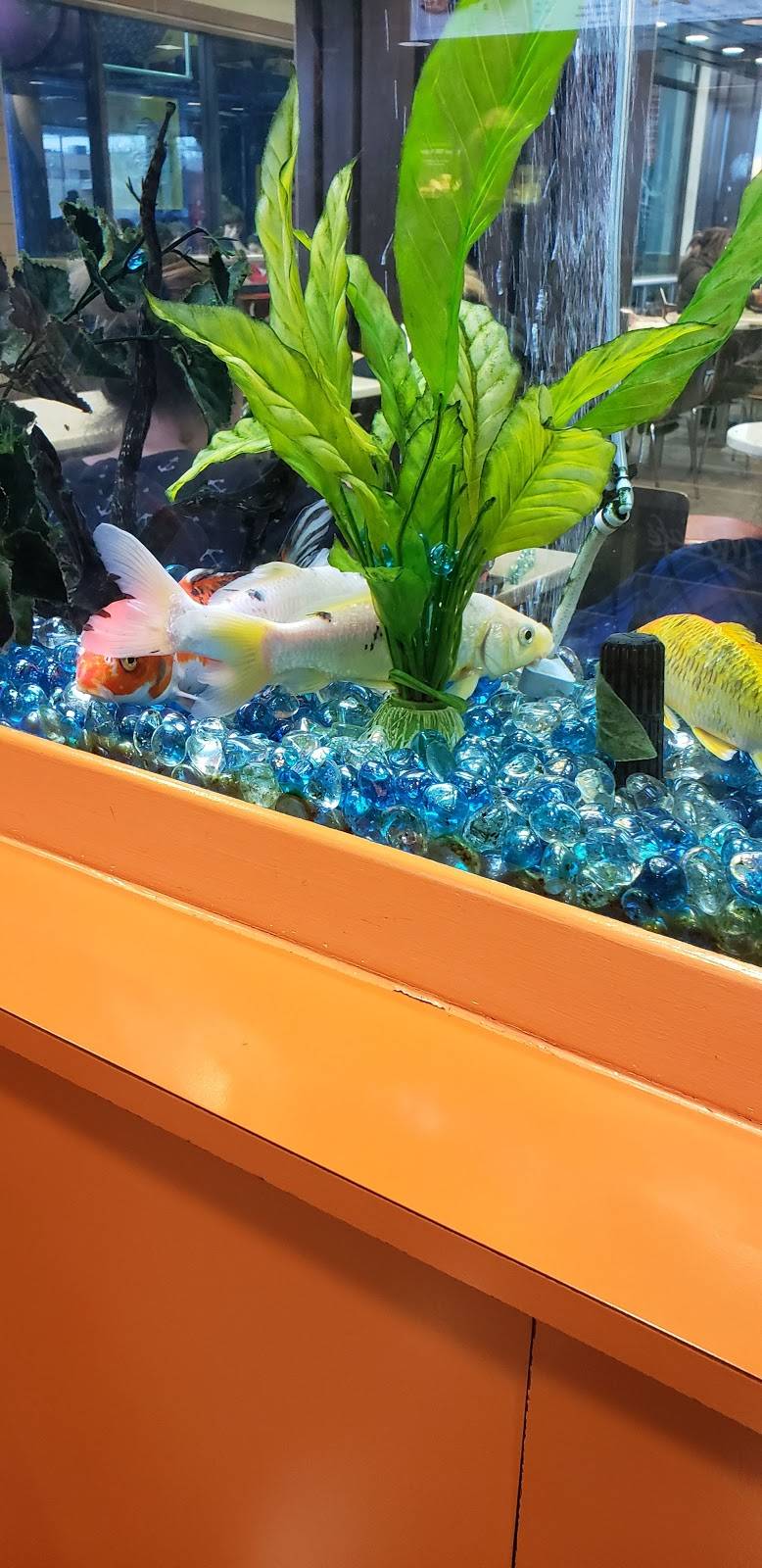 McDonalds | cafe | 870 Rue Principale, Granby, QC J2G 2Z2, Canada | 4503720992 OR +1 450-372-0992