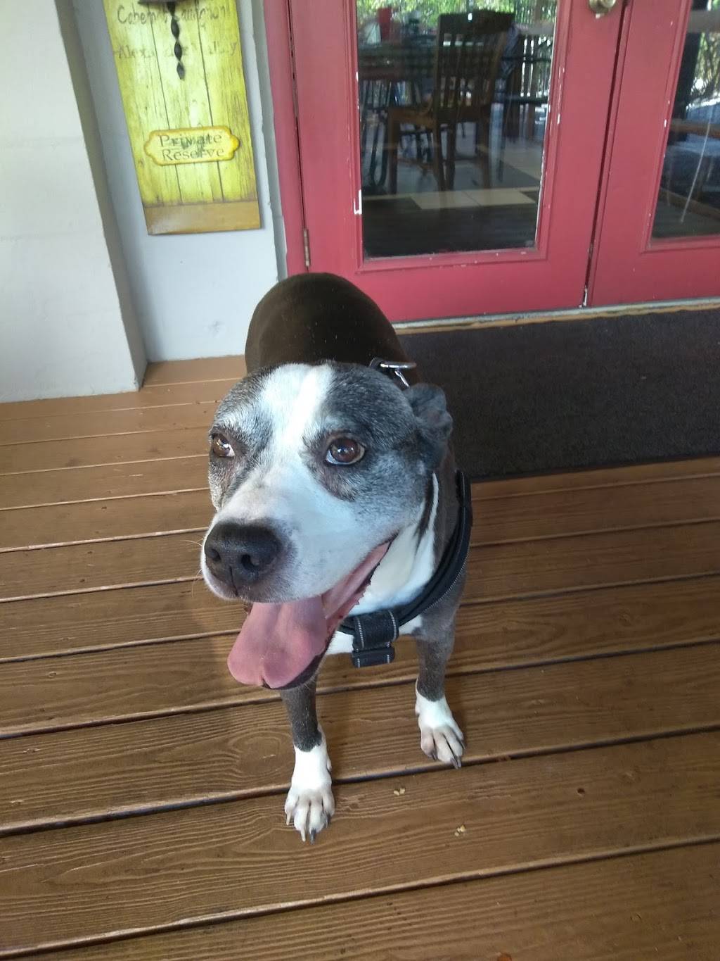 Tates Italian Restaurant & Pizzeria | restaurant | 3342 S West Shore Blvd, Tampa, FL 33629, USA | 8138325675 OR +1 813-832-5675