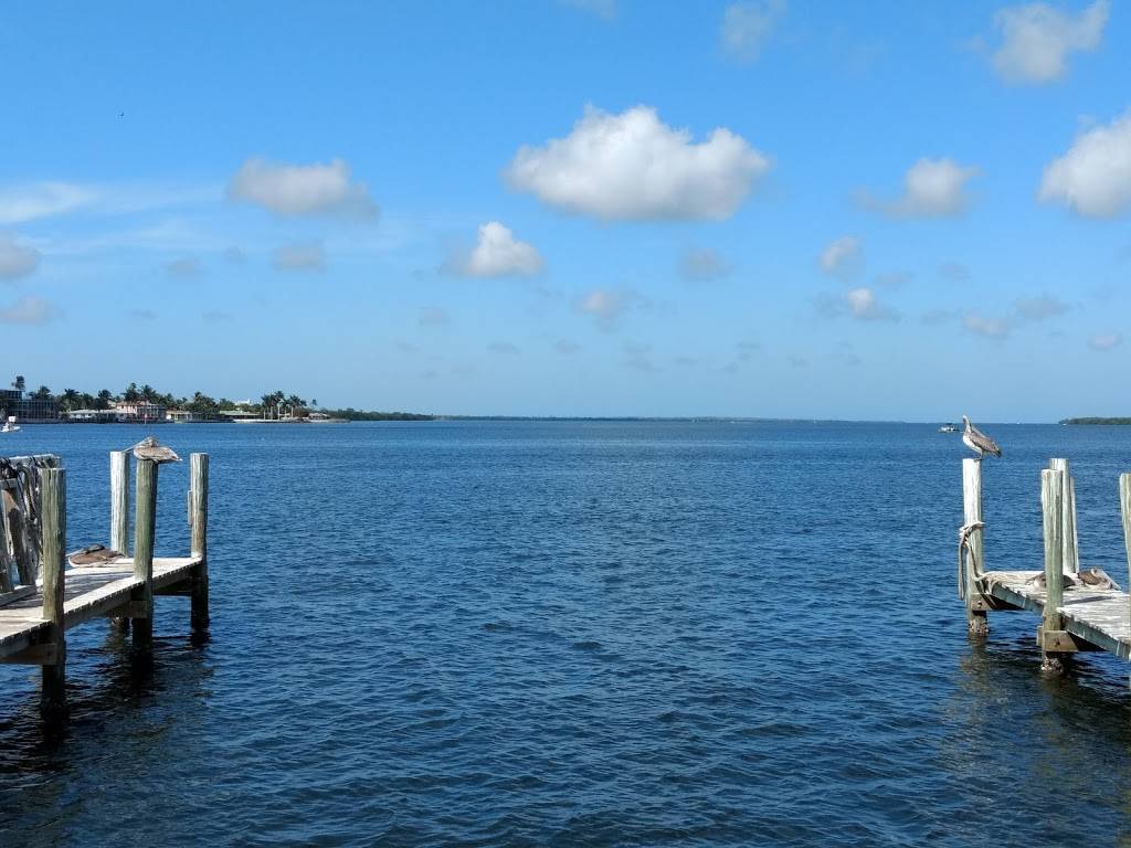 Island Seafood Market | restaurant | 4330 Pine Island Rd, Matlacha, FL 33993, USA | 2392832525 OR +1 239-283-2525