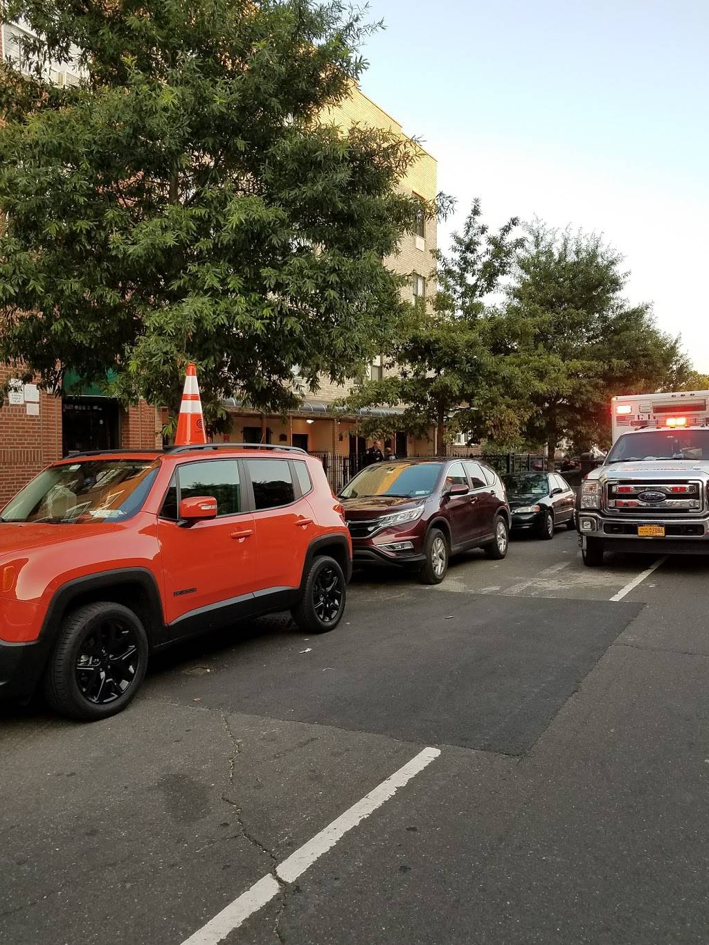 A Kandola Inc | restaurant | 1534 White Plains Rd, Bronx, NY 10462, USA | 7186845578 OR +1 718-684-5578