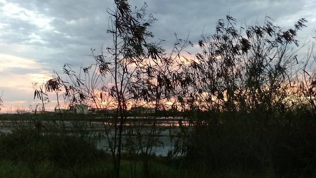 Pizza State | restaurant | 6133 Ennis Joslin Rd, Corpus Christi, TX 78412, USA | 3619933283 OR +1 361-993-3283