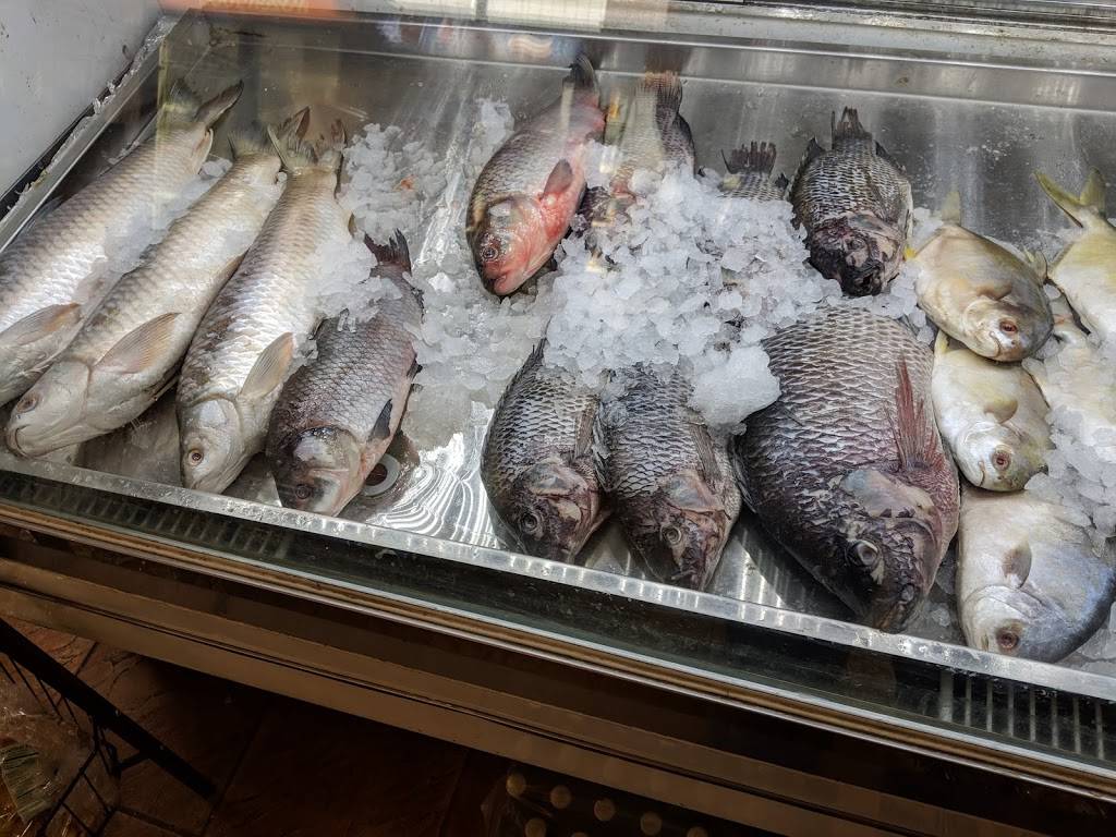 Iraqi Bakery And Grill | restaurant | 24546 Ford Rd, Dearborn Heights, MI 48127, USA | 3137895252 OR +1 313-789-5252