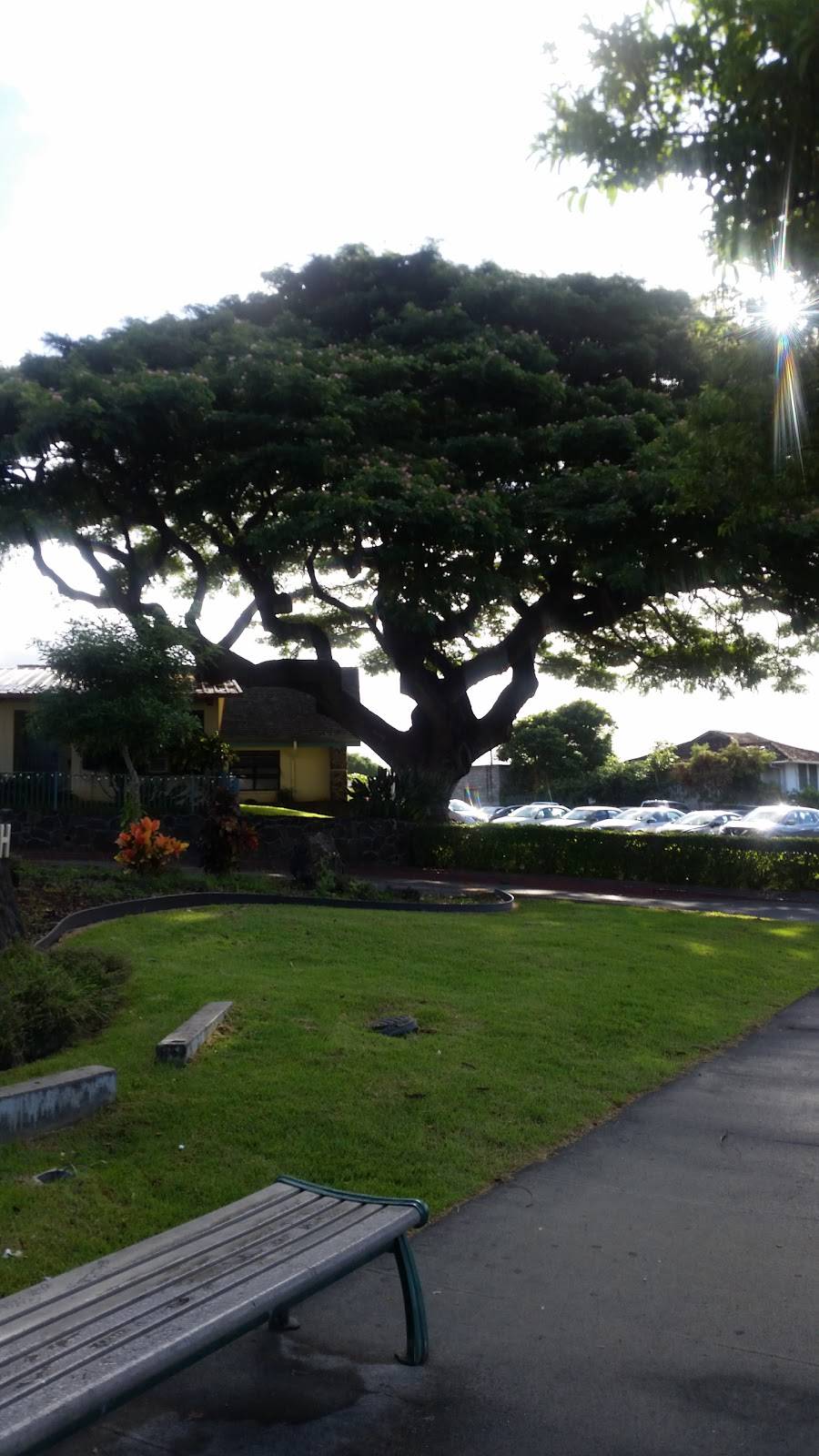 Jack in the Box | restaurant | 2183 N King St, Honolulu, HI 96819, USA | 8088476058 OR +1 808-847-6058