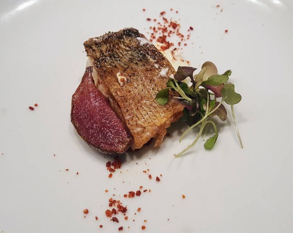 The Cooks House | restaurant | 115 Wellington St, Traverse City, MI 49686, USA | 2319468700 OR +1 231-946-8700