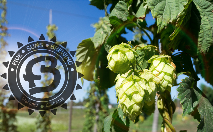 Five Suns Brewing | restaurant | 701 Escobar St C, Martinez, CA 94553, USA | 9259576706 OR +1 925-957-6706