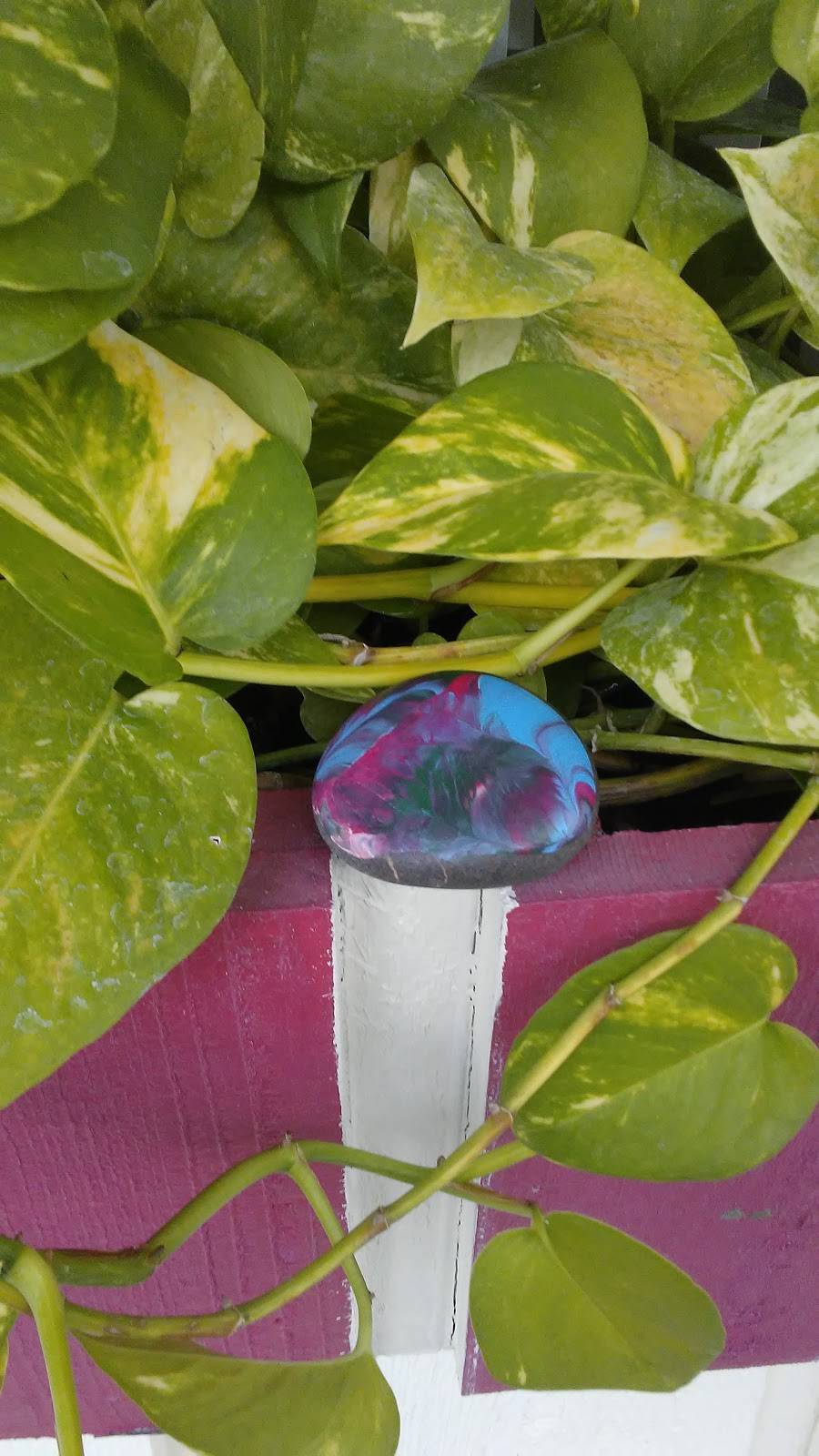 Oketo Japanese Express | restaurant | 12199 Indian Rocks Rd #4, Largo, FL 33774, USA | 7277548915 OR +1 727-754-8915