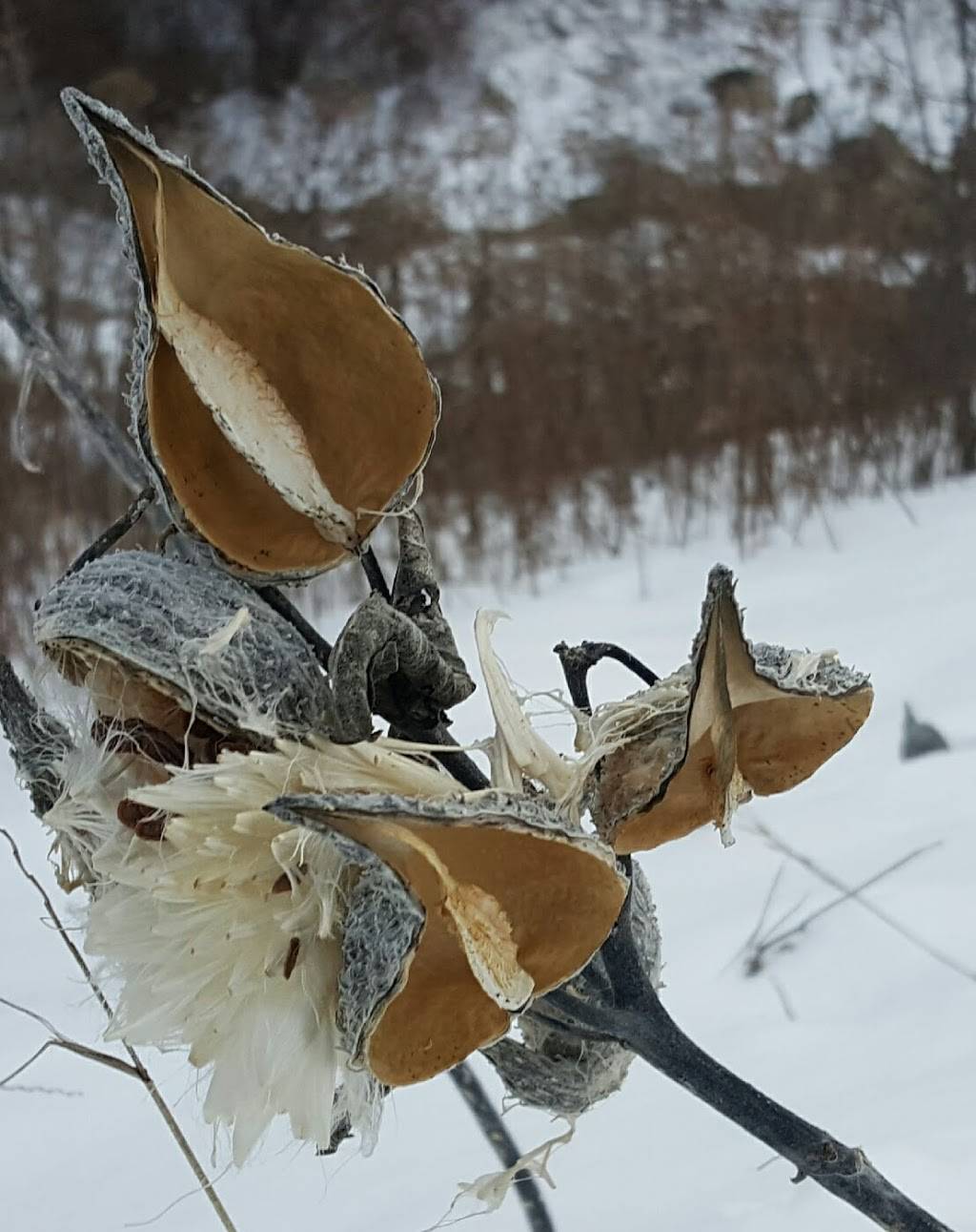 Greenwood Hills Country Club | restaurant | 2002 Poplar Ln, Wausau, WI 54403, USA | 7158482204 OR +1 715-848-2204