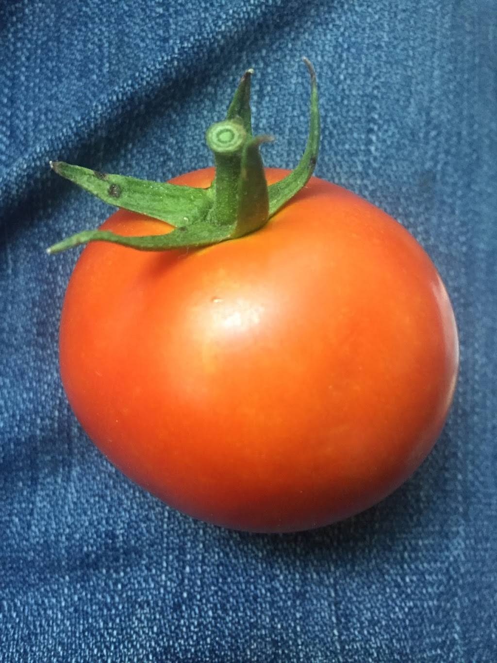 Arley D. Cathey Dining Commons | restaurant | 6025 S Ellis Ave, Chicago, IL 60637, USA | 8558623463 OR +1 855-862-3463