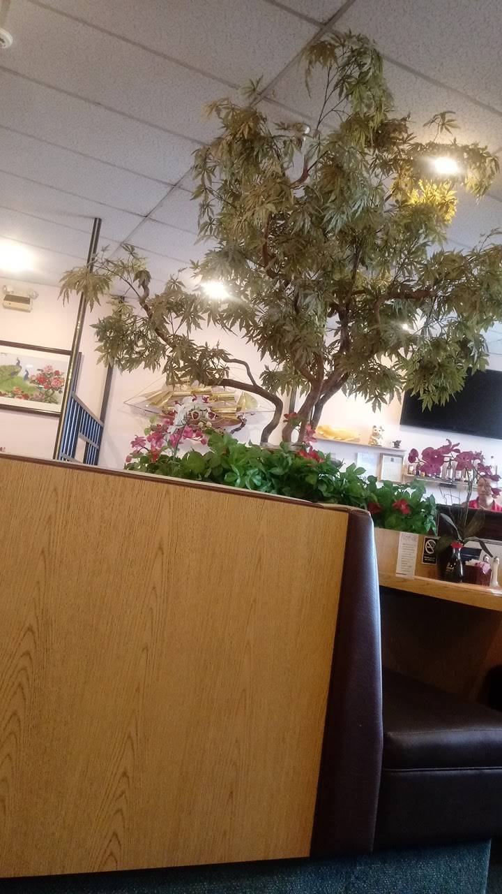 Two Guys from Hong Kong | meal takeaway | 6015 S Virginia St B, Reno, NV 89502, USA | 7758513030 OR +1 775-851-3030