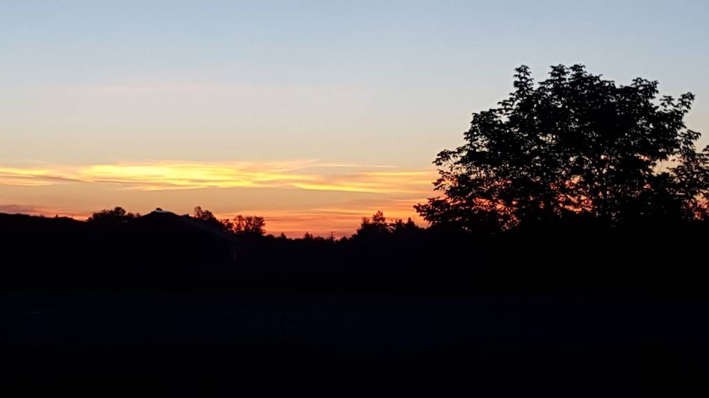 Rusty Rail | restaurant | 9074 Co Rd 426, Cornell, MI 49818, USA | 9063840111 OR +1 906-384-0111