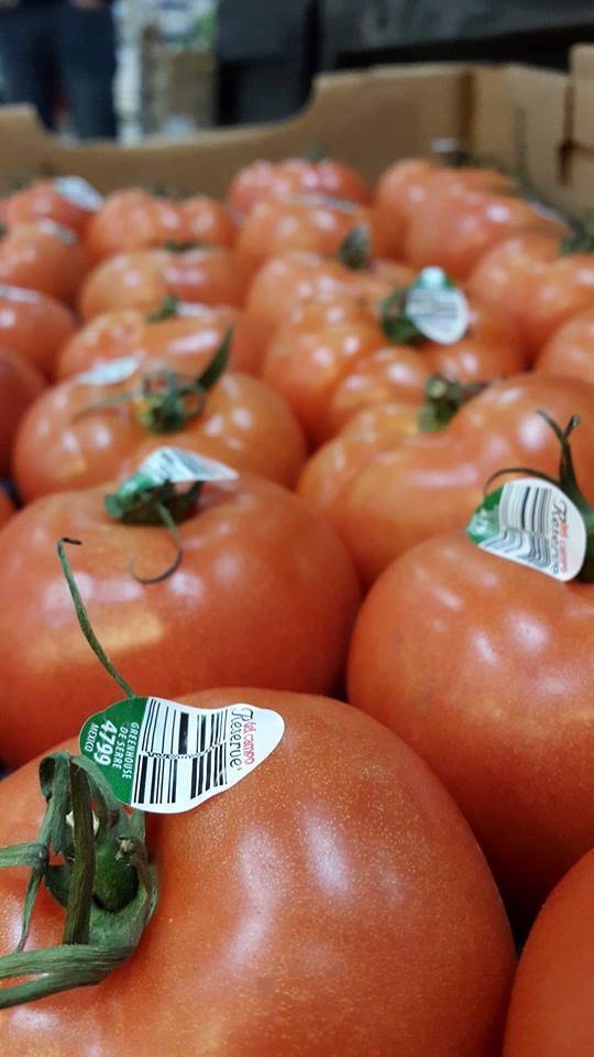 Mediterranean Grocery, Inc. | restaurant | 3561 Park Ave, Memphis, TN 38111, USA | 9013205757 OR +1 901-320-5757